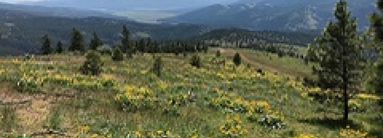 Blackfoot River