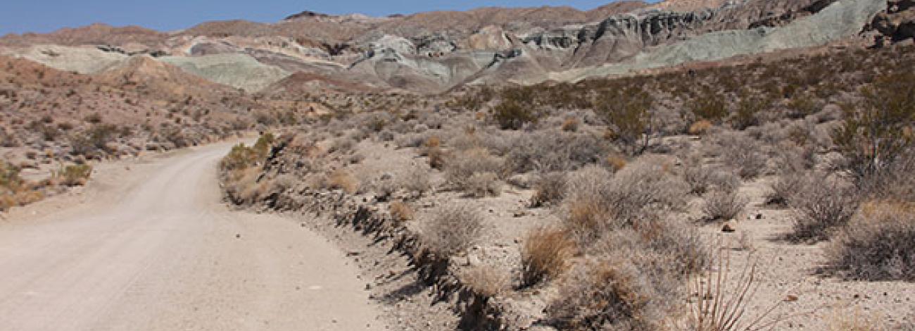 A dirt road curves through a desert landscape dotted with dry shrubs and sparse vegetation. In the background, colorful layered hills and mountains rise up, showing bands of tan, gray, and pale green rock under a clear blue sky.