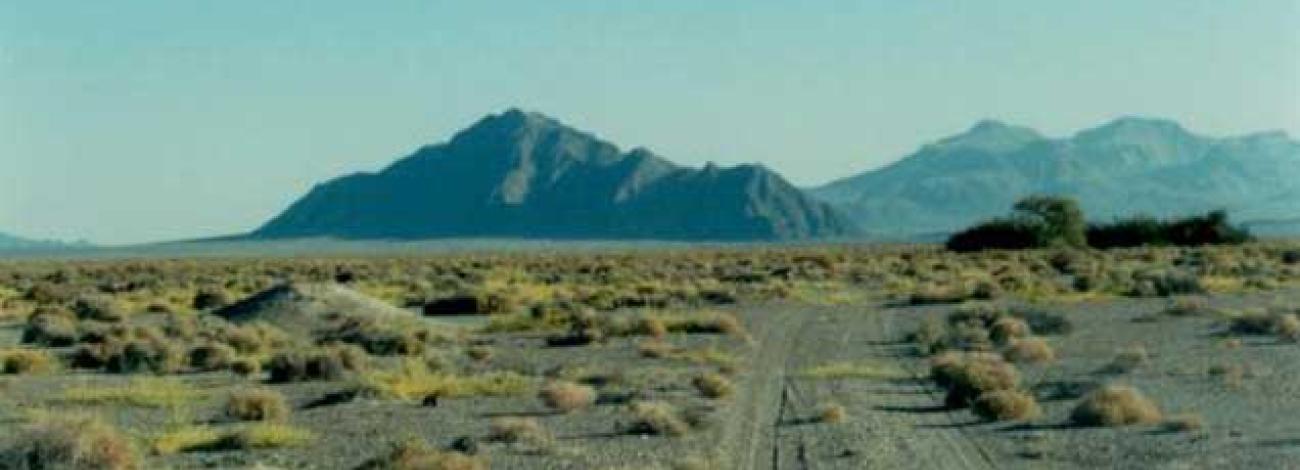 A wide desert landscape with scattered low shrubs and dry soil stretches toward a series of rugged, dark mountains in the distance. Faint vehicle tracks run across the foreground, and a small cluster of trees appears to the right beneath hazy, blue‑tinted peaks.