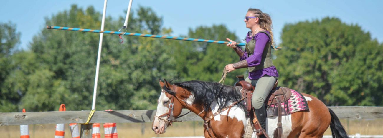 Woman in purple shirt riding a brown and white horse while holding a long pole during an outdoor equestrian event.