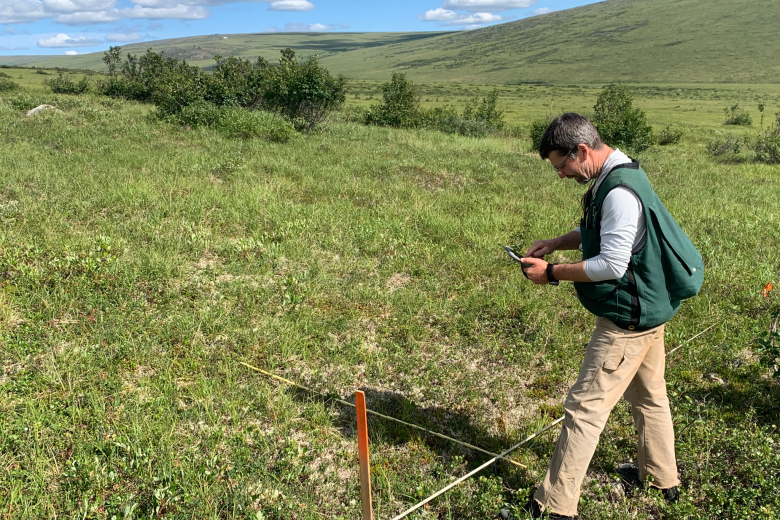 A scientist conducts an AIM survey in interior Alaska. 