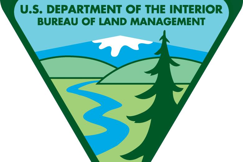 BLM logo