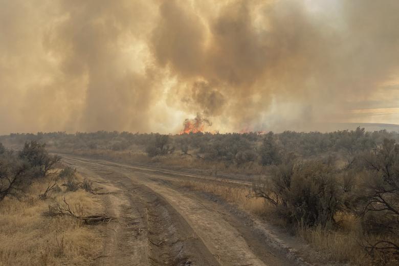 Fire and smoke with blazing sun and dirt trail in foreground.