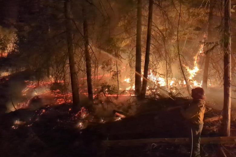 A fire fighter sprays water on a fire in a forest.