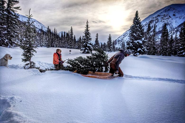 a man pulls a Christmas tree through a snowy field between mountains while a young child and dog follow behind the tree