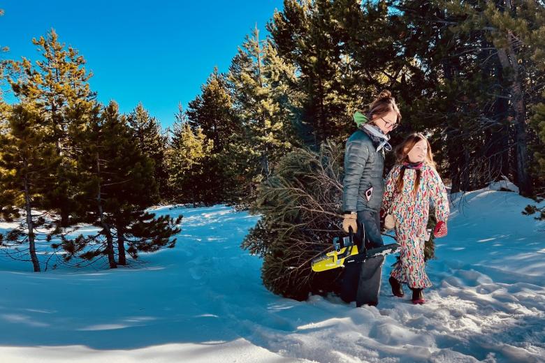 A woman holding a chainsaw and a girl drag a freshly cut pine tree through a snowy wooded landscape.