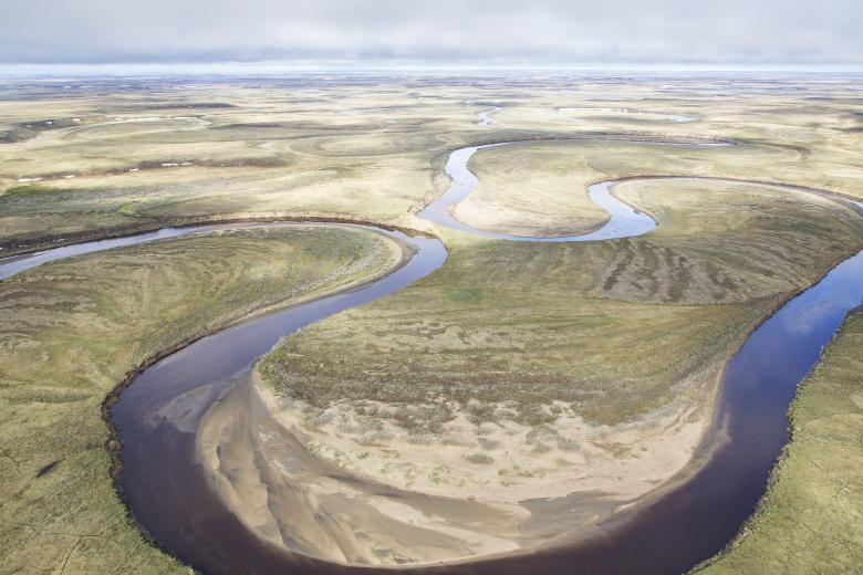 An aerial view of a river snaking through a green landscape.