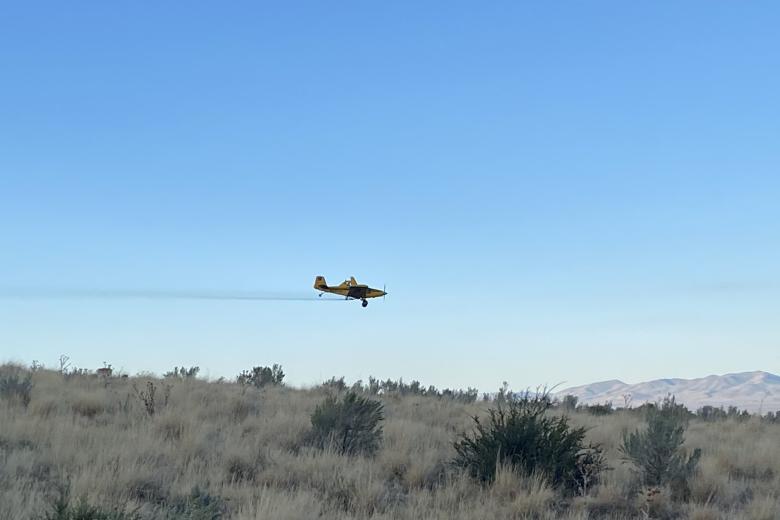 Image of airplane flying spraying herbicide across rangeland