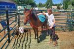 4H student and their horse Rooster in a corral.