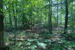 Meadowood SRMA