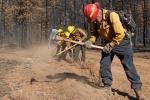 Firefighters on line