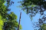A log suspended from a helicopter. 