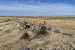 Several people are removing large garbage items from an open, brushy area.
