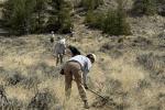 Photo of people performing maintenance on a dirt road