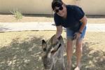 A woman wearing sunglasses smiles while petting a young donkey in a shaded outdoor area near a building.