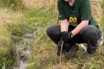 A person wearing a green shirt plants a willow stern near a small creek