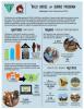 Infographic summarizing the BLM's Wild Horse and Burro Program achievements in 2019, highlighting adoptions, training, and off-range pastures.