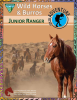 booklet screenshot that reads "Wild Horses & Burros Junior Ranger"