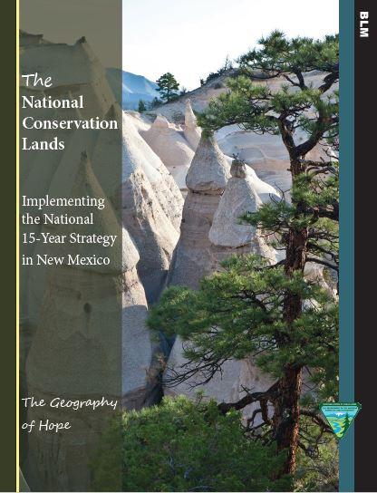 The cover of the New Mexico 15-year Step-down Strategy.