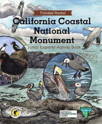Illustrated cover of the “California Coastal National Monument: Junior Explorer Activity Book,” featuring drawings of seabirds such as pelicans, gulls, and cormorants along a rocky shoreline with ocean waves in the background.