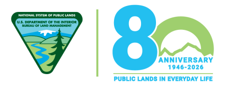 BLM present-day logo